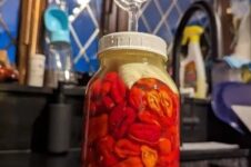 Glasburk med röda chilipeppar och jäsningslock i ett kök